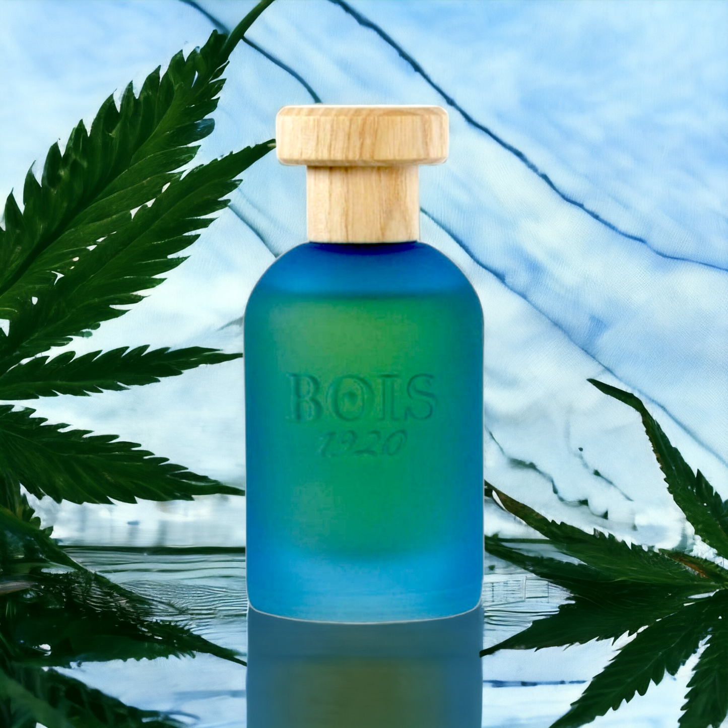 Bois 1920 CANNABIS SALATA