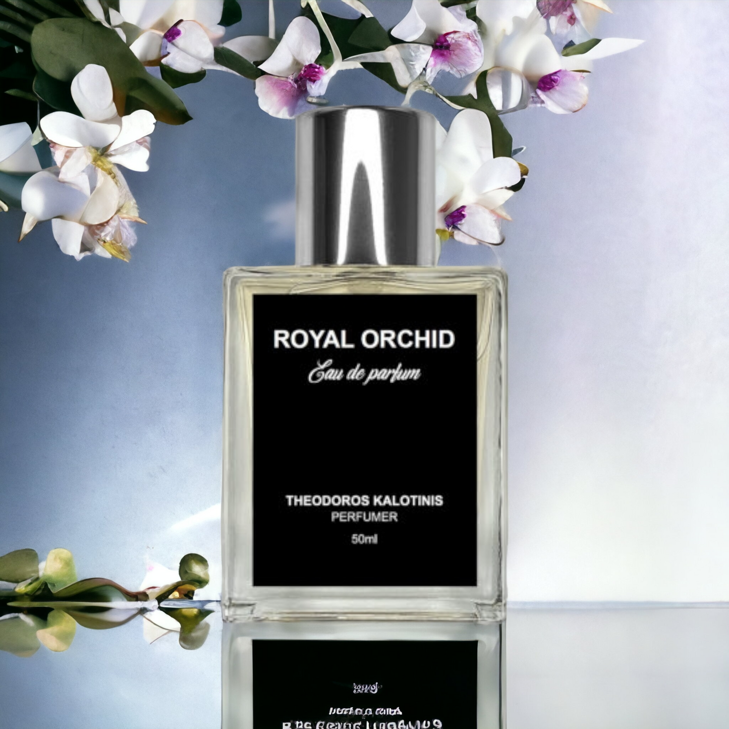 Theodoros Kalotinis ROYAL ORCHID